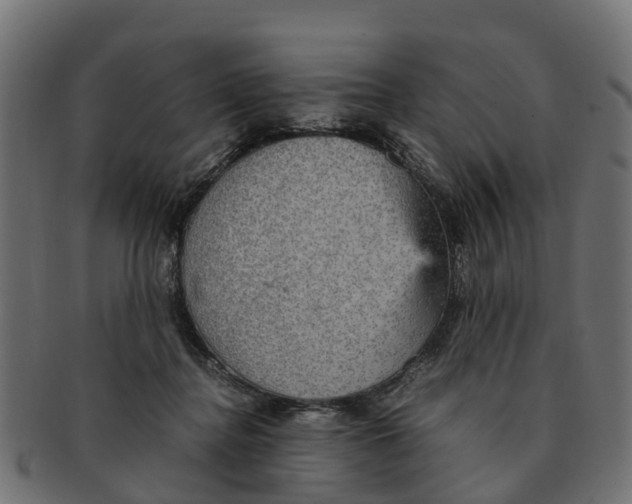 X0000091550364200709071222