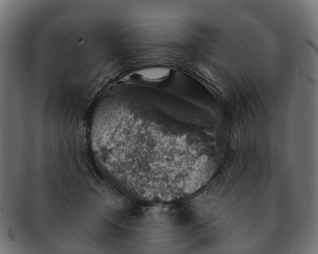 X0000091550366200709071222