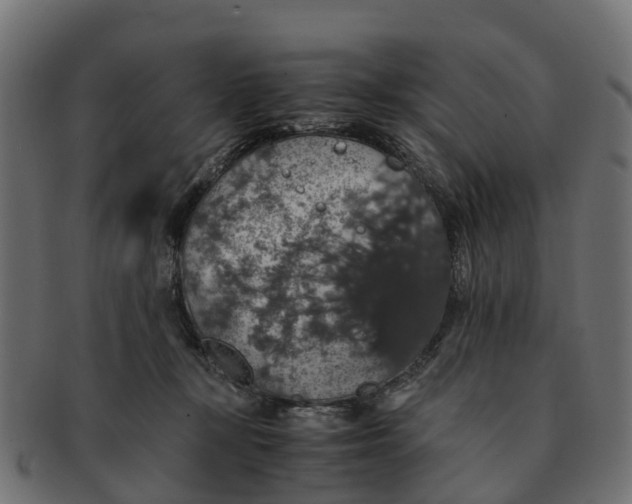 X0000091550367200709071222
