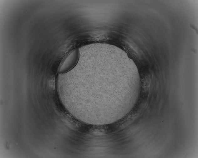 X0000091550368200709071222