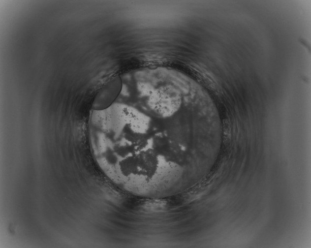 X0000091550369200709071222