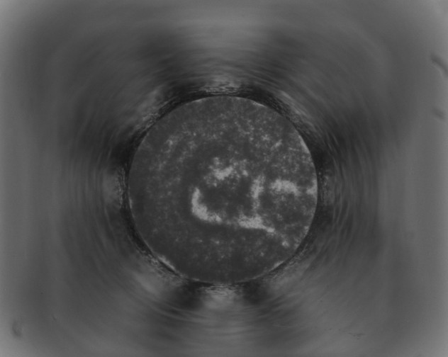 X0000091550370200709071222
