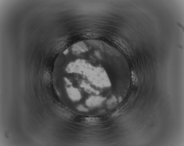 X0000091550371200709071222