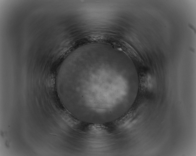 X0000091550372200709071222