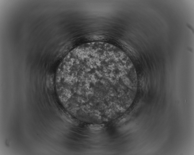 X0000091550373200709071222