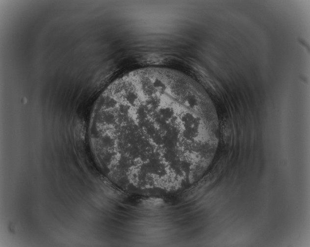 X0000091550374200709071222