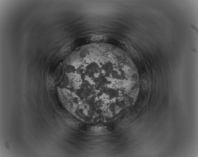 X0000091550375200709071222