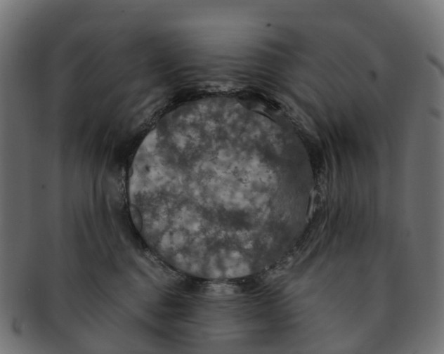 X0000091550376200709071222