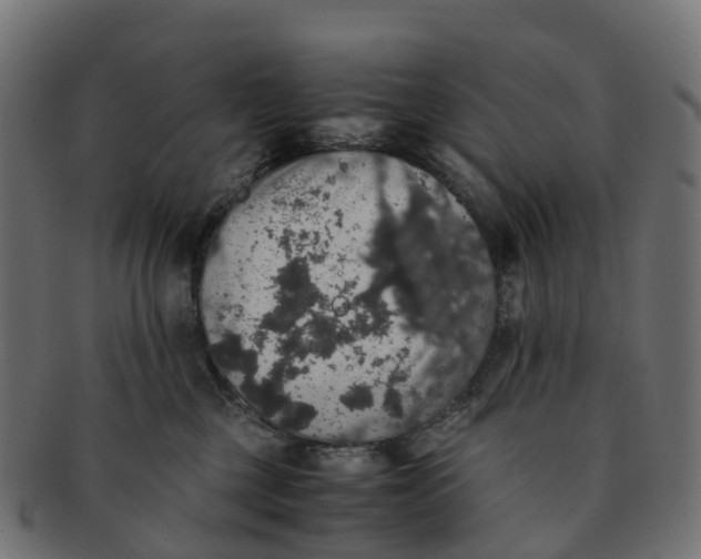 X0000091550377200709071222