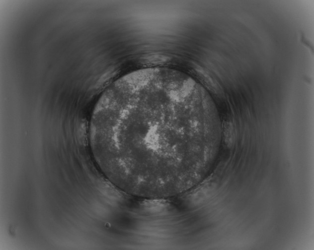 X0000091550378200709071222