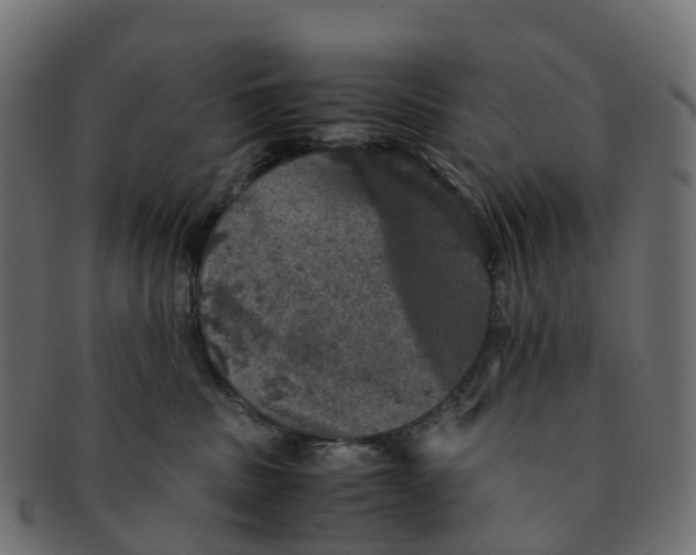X0000091550379200709071222