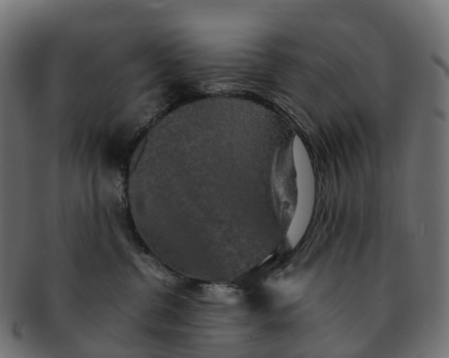 X0000091550380200709071222