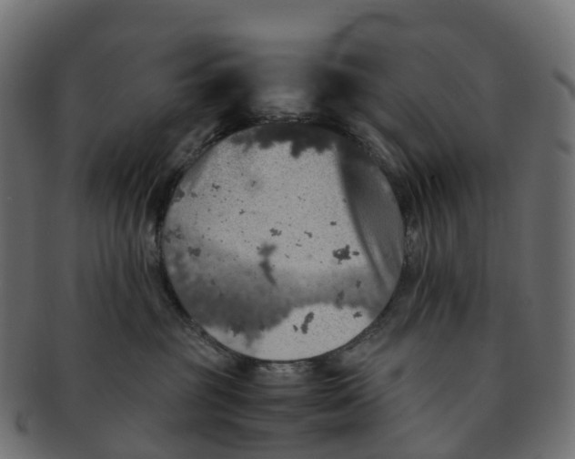 X0000091550381200709071222