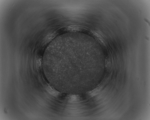 X0000091550382200709071222