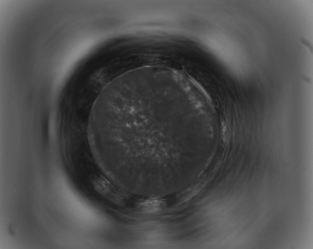 X0000091550383200709071222