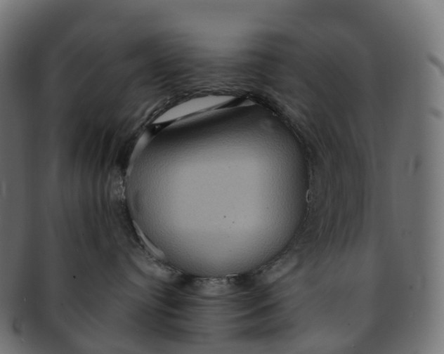 X0000091550384200709071222