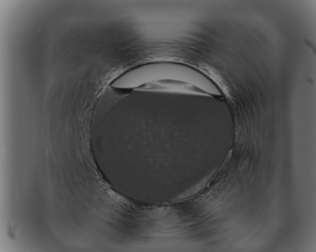 X0000091550385200709071222