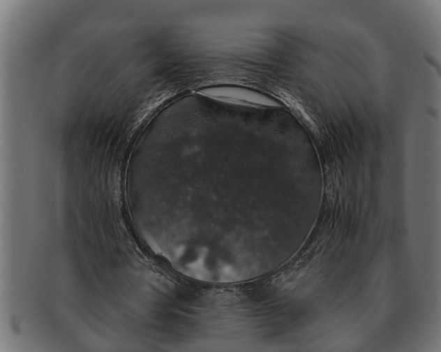 X0000091550386200709071222