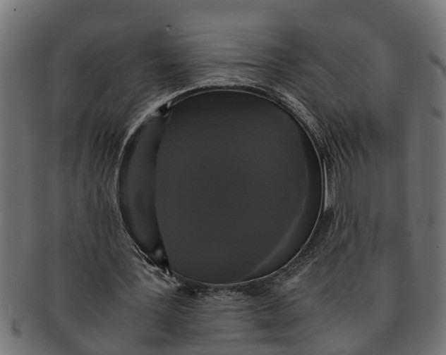 X0000091550387200709071222