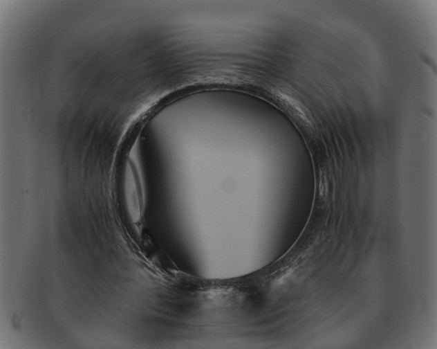 X0000091550388200709071222