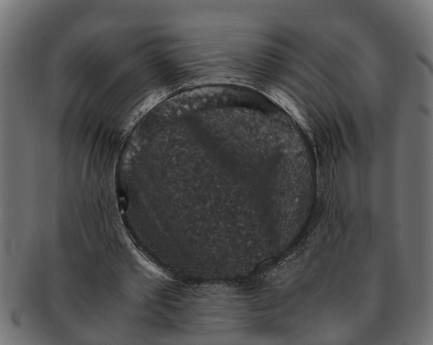 X0000091550389200709071222