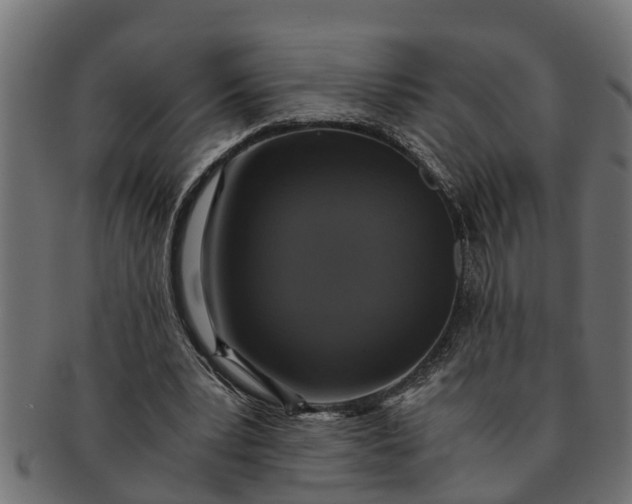 X0000091550391200709071222