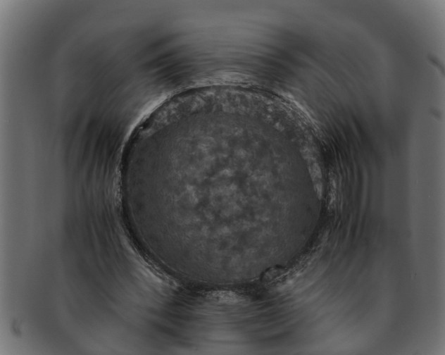 X0000091550392200709071222