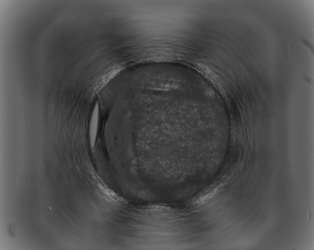 X0000091550393200709071221