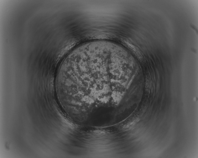 X0000091550394200709071221