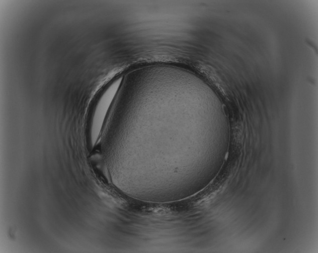 X0000091550395200709071221