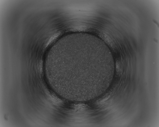 X0000091550396200709071221