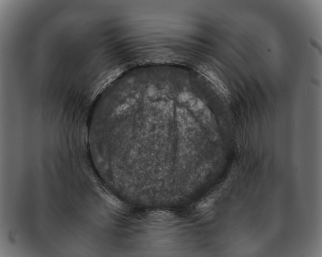 X0000091550397200709071221