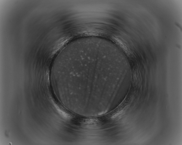 X0000091550398200709071221