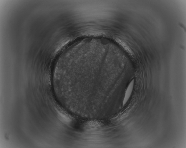 X0000091550399200709071221