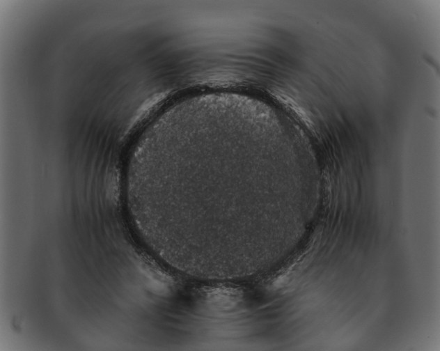 X0000091550400200709071221
