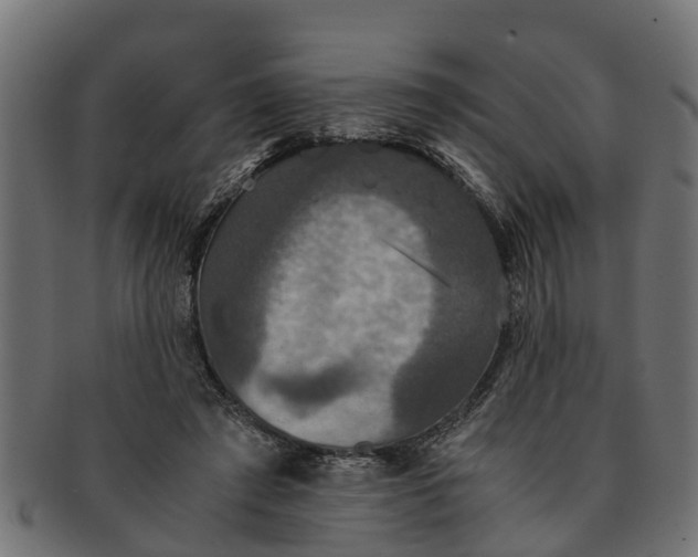 X0000091550401200709071221