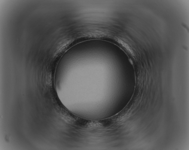 X0000091550403200709071221
