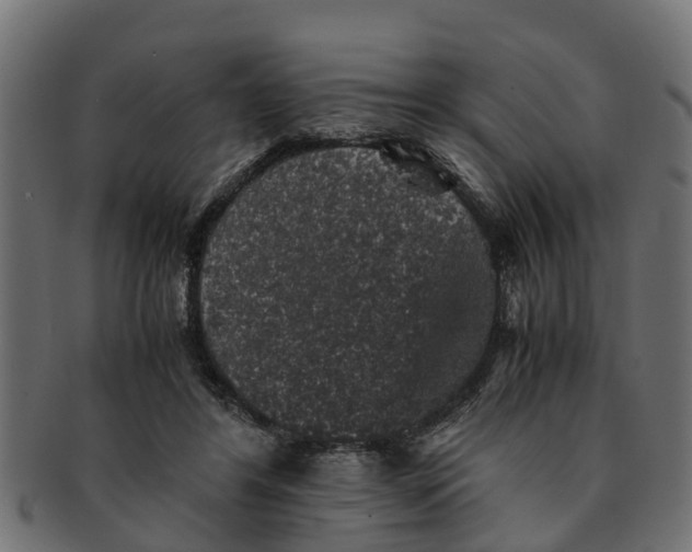 X0000091550404200709071221