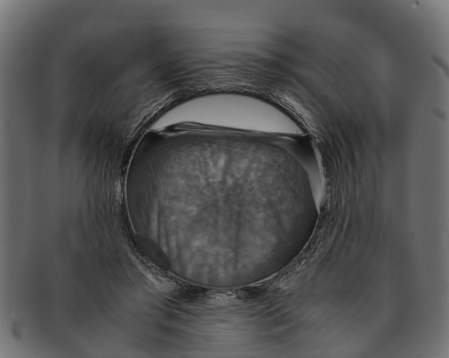 X0000091550405200709071221