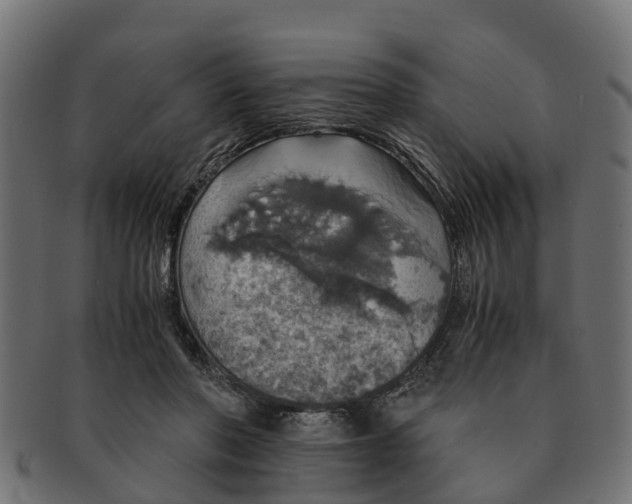 X0000091550406200709071221