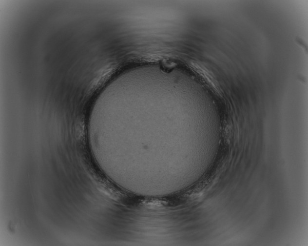 X0000091550407200709071221