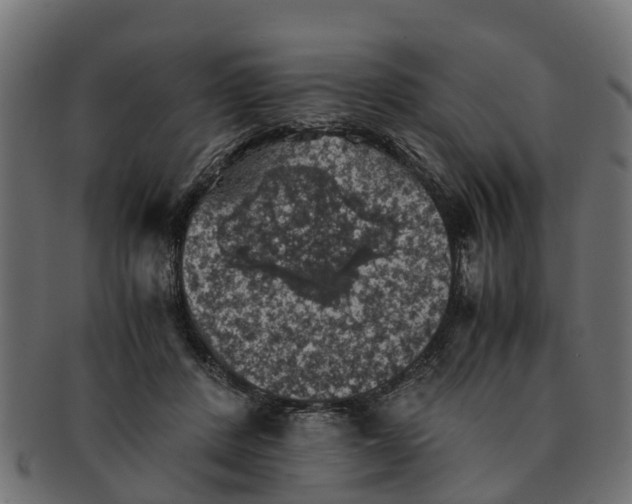 X0000091550408200709071221