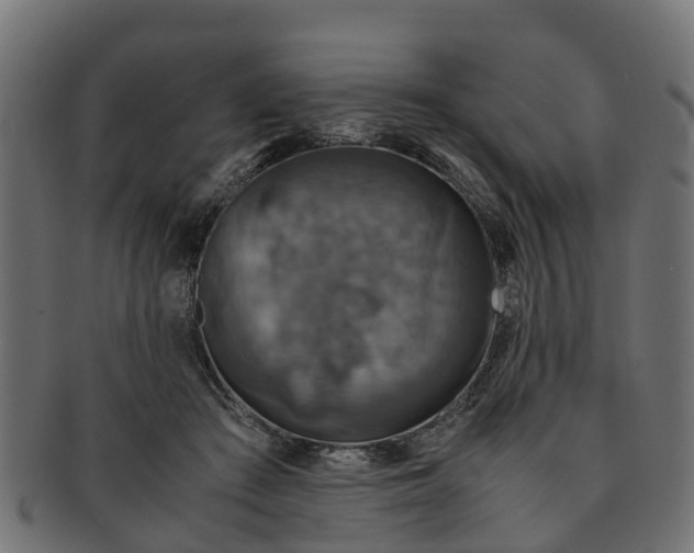 X0000091550409200709071221