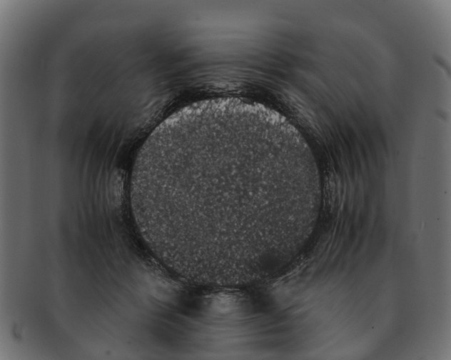 X0000091550412200709071221