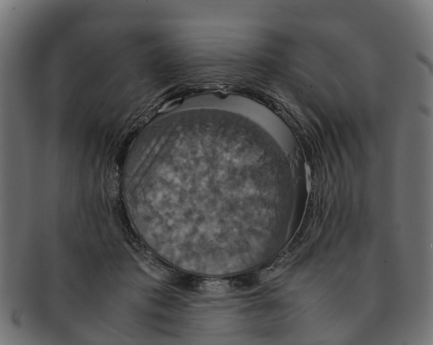 X0000091550413200709071221