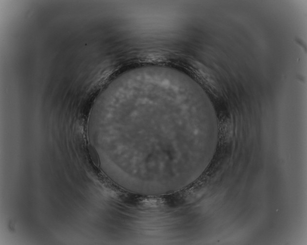 X0000091550415200709071221