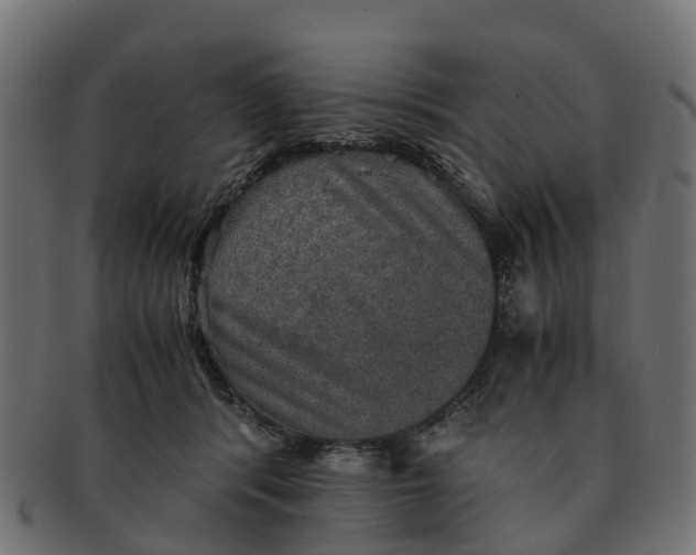 X0000091550416200709071221