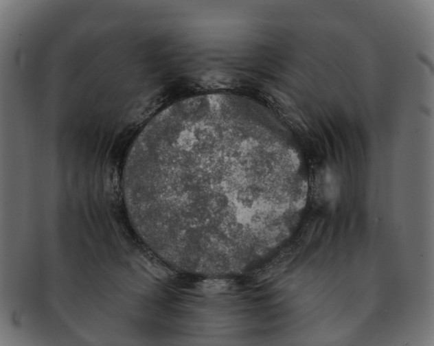 X0000091550418200709071221