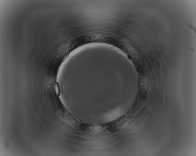 X0000091550419200709071221