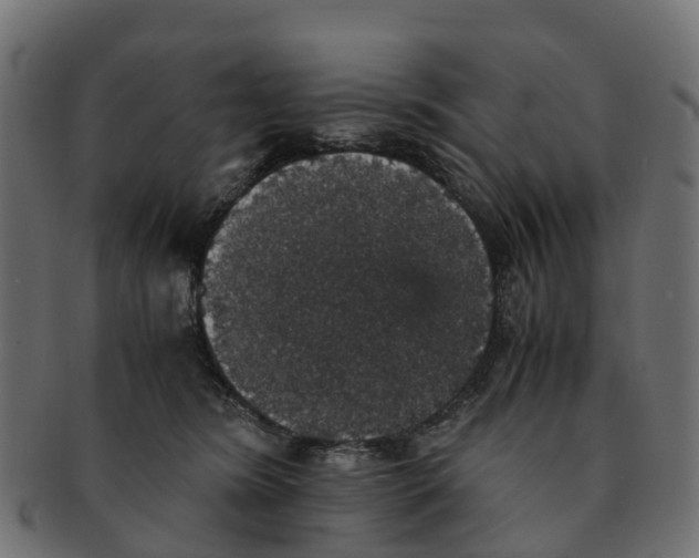 X0000091550420200709071221